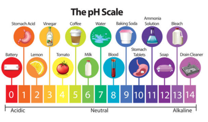 pH Scale