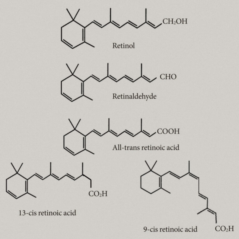The Ultimate Guide To Retinoids Skin Care